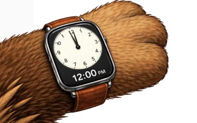 The Time Has Come – The Time is Now